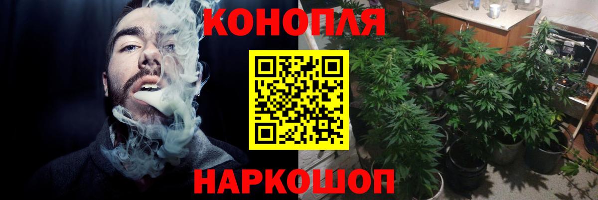 МАРИХУАНА SATIVA & INDICA  Вход с VPN  Киселёвск  Бошки марихуана индика 